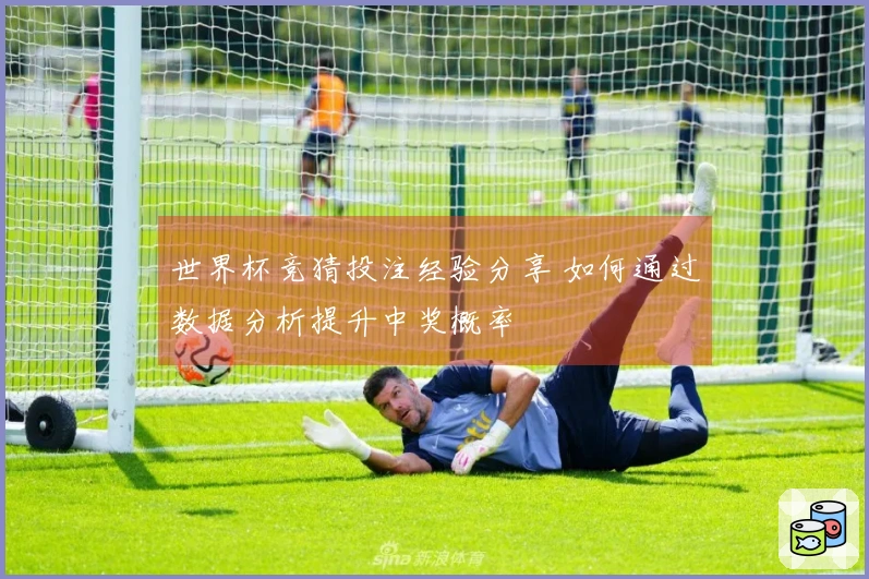 世界杯竞猜投注经验分享 如何通过数据分析提升中奖概率
