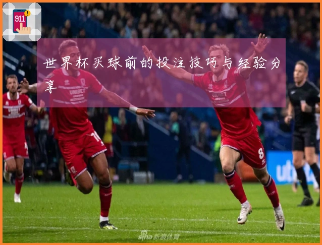 世界杯买球前的投注技巧与经验分享