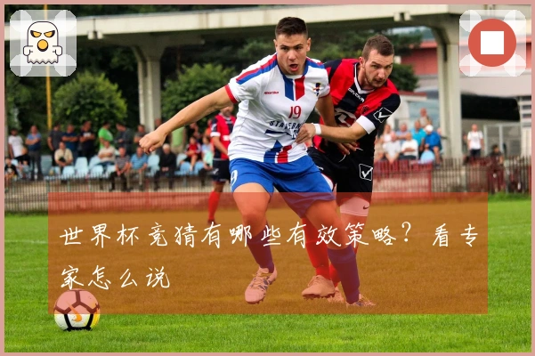 世界杯竞猜有哪些有效策略？看专家怎么说