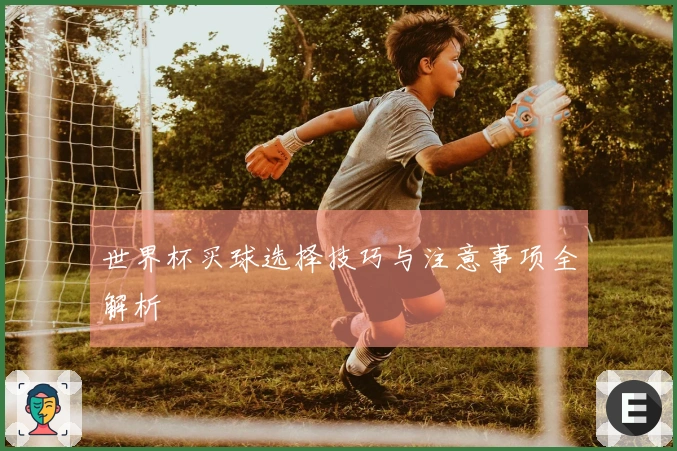 世界杯买球选择技巧与注意事项全解析