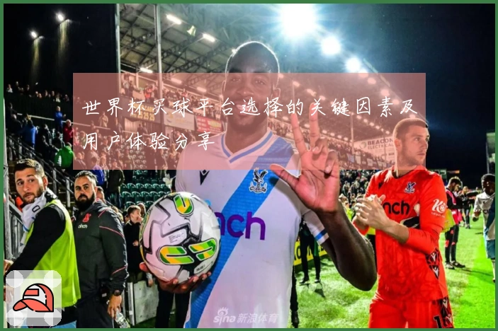 世界杯买球平台选择的关键因素及用户体验分享