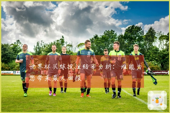 世界杯买球投注赔率分析:谁能为您带来最大回报