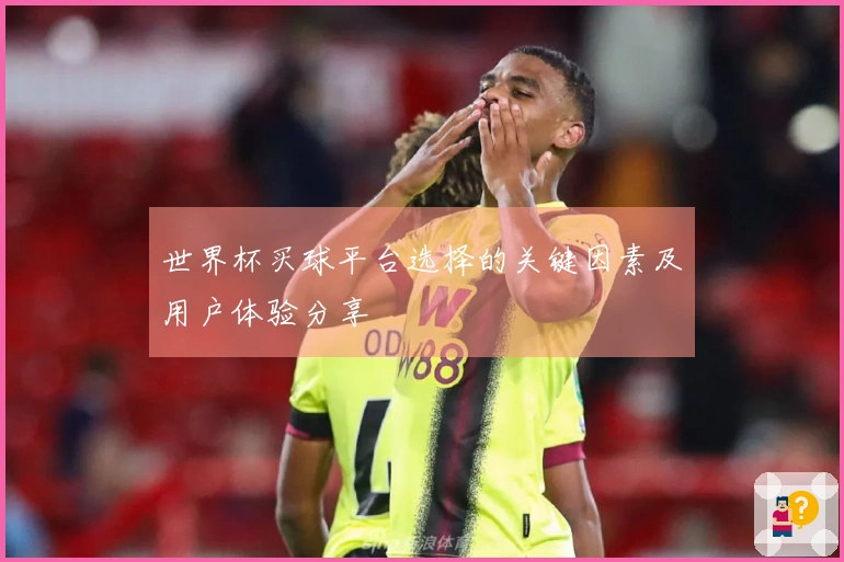 世界杯买球平台选择的关键因素及用户体验分享