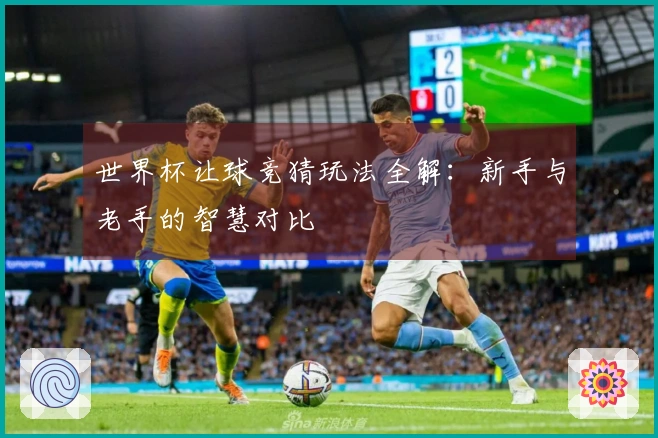 世界杯让球竞猜玩法全解：新手与老手的智慧对比