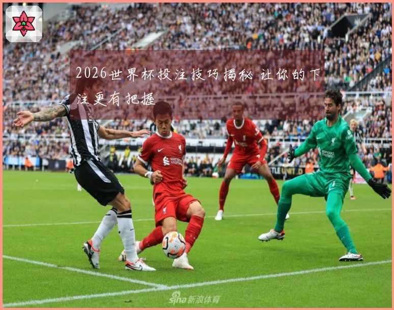 2026世界杯投注技巧揭秘 让你的下注更有把握