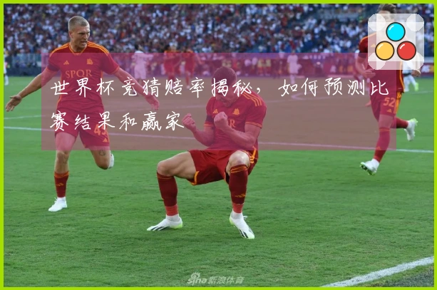 世界杯竞猜赔率揭秘，如何预测比赛结果和赢家