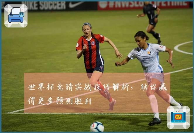 世界杯竞猜实战技巧解析，助你赢得更多预测胜利