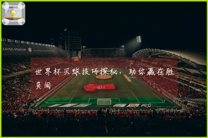 世界杯买球技巧探秘，助你赢在胜负间