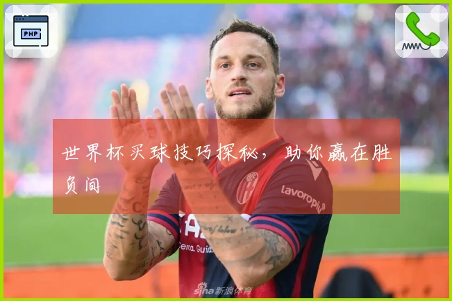 世界杯买球技巧探秘，助你赢在胜负间