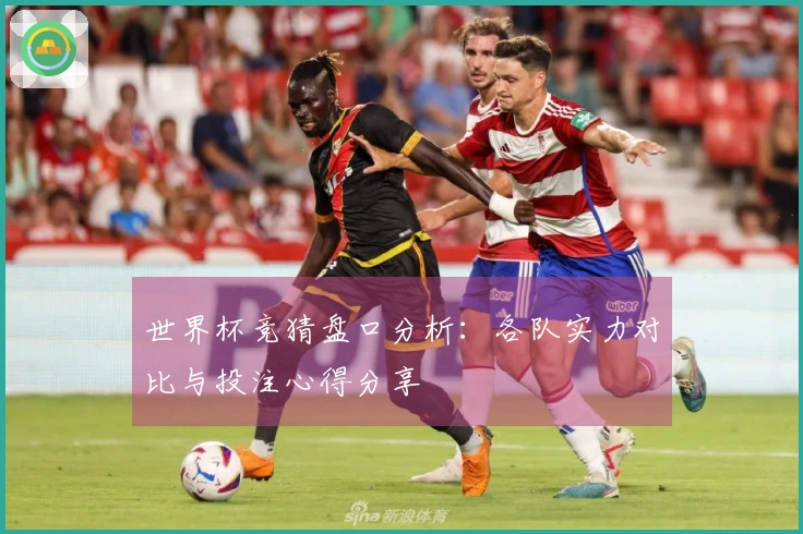 世界杯竞猜盘口分析：各队实力对比与投注心得分享