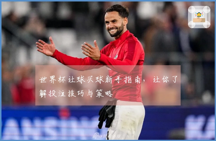 世界杯让球买球新手指南，让你了解投注技巧与策略