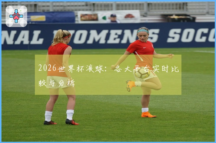 2026世界杯滚球：各大平台实时比较与分析