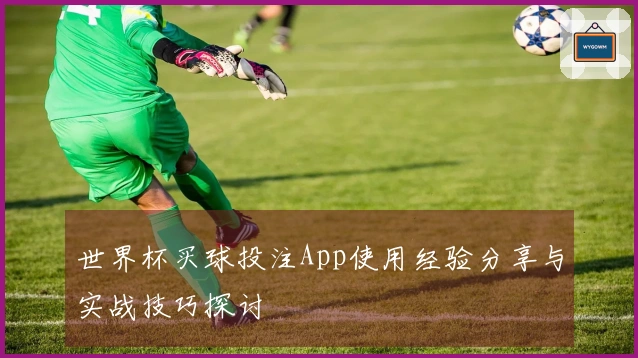 世界杯买球投注App使用经验分享与实战技巧探讨