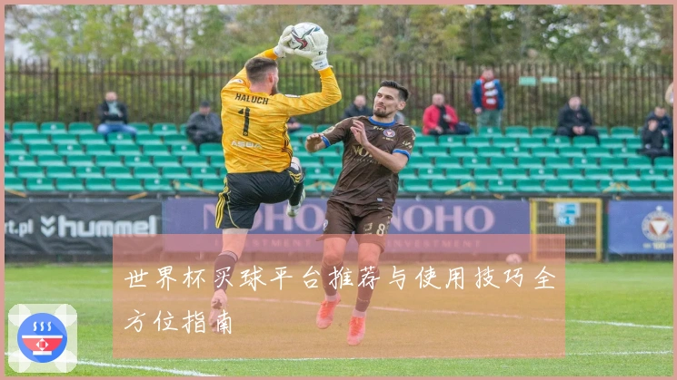 世界杯买球平台推荐与使用技巧全方位指南