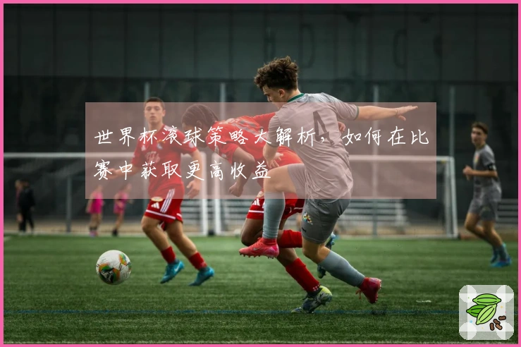 世界杯滚球策略大解析，如何在比赛中获取更高收益
