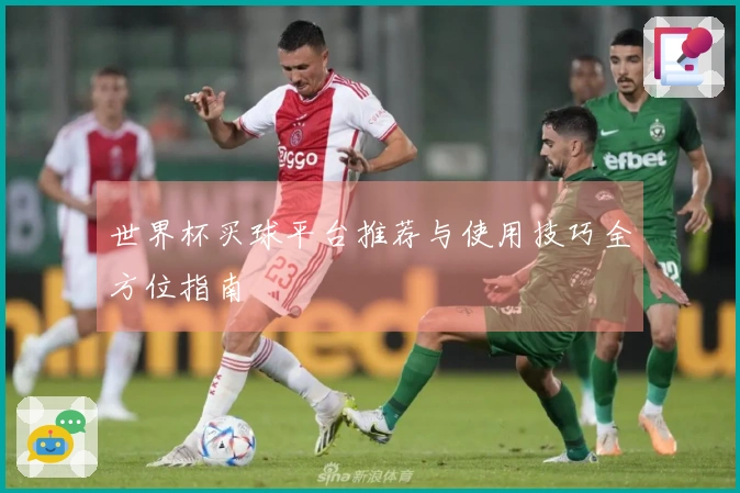 世界杯买球平台推荐与使用技巧全方位指南