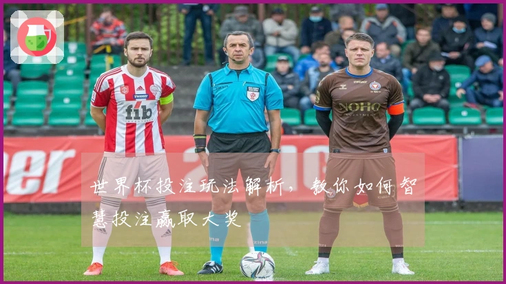世界杯投注玩法解析，教你如何智慧投注赢取大奖